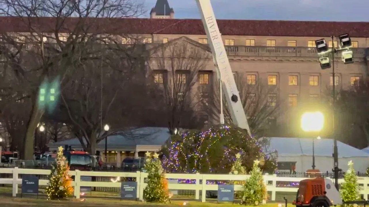fuertes vientos en Estados Unidos tumbaron el árbol de Navidad de la Casa Blanca