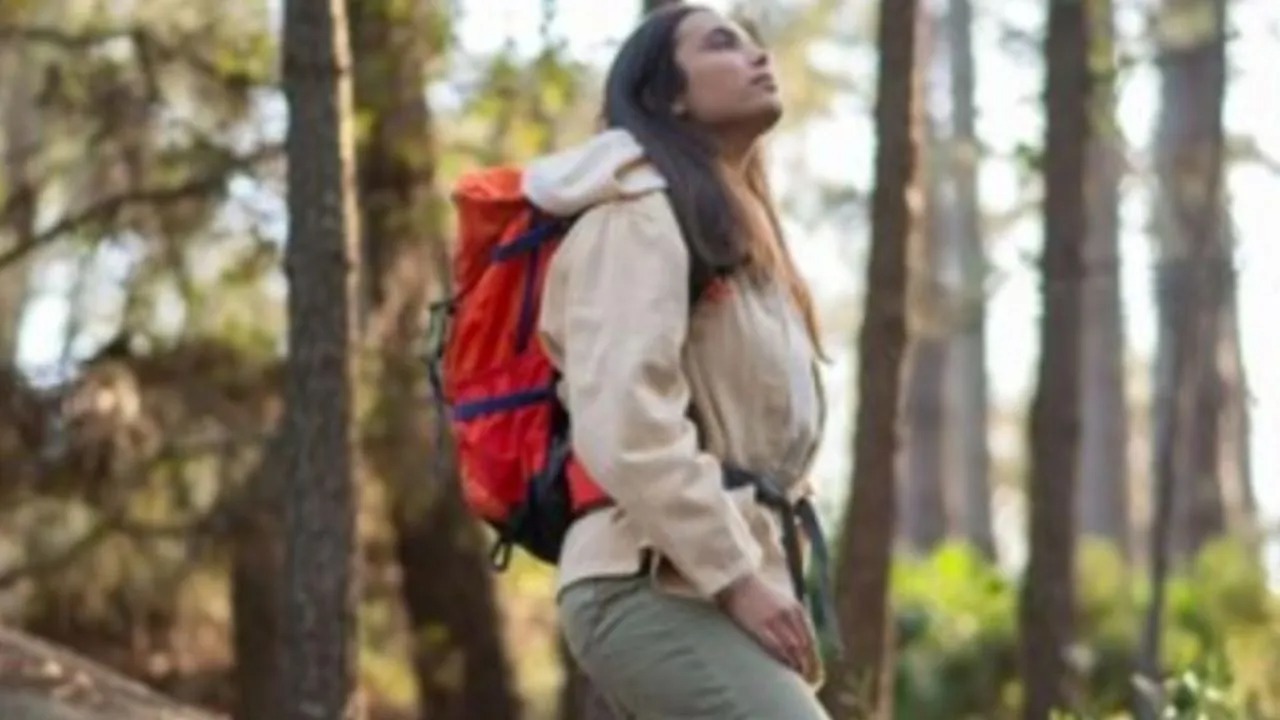 Consejos para sobrevivir en la naturaleza: lo que debe tener en cuenta para evitar una tragedia