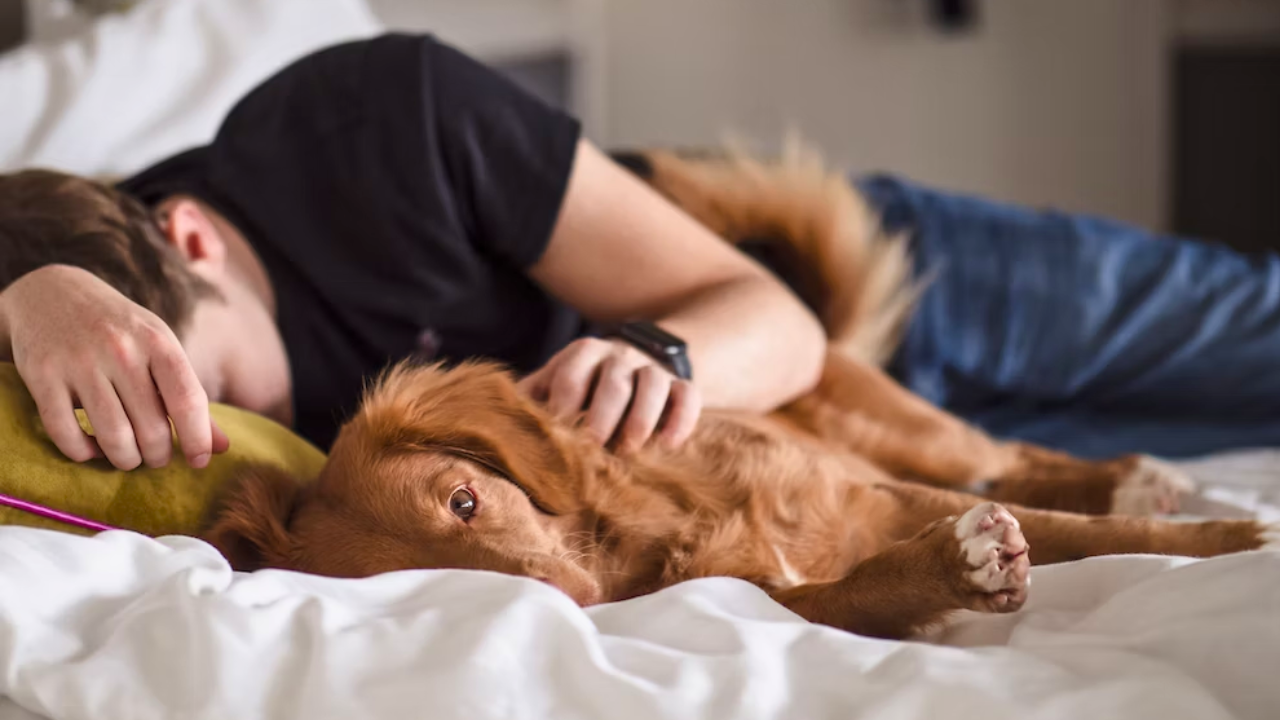 ¿Tomar una siesta después del almuerzo puede engordar?