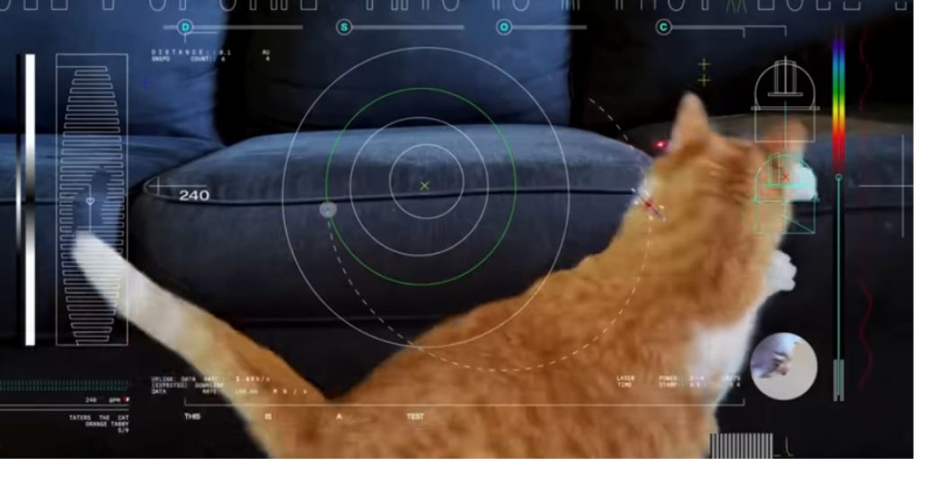 Primer video de la NASA desde el espacio profundo es de un gato