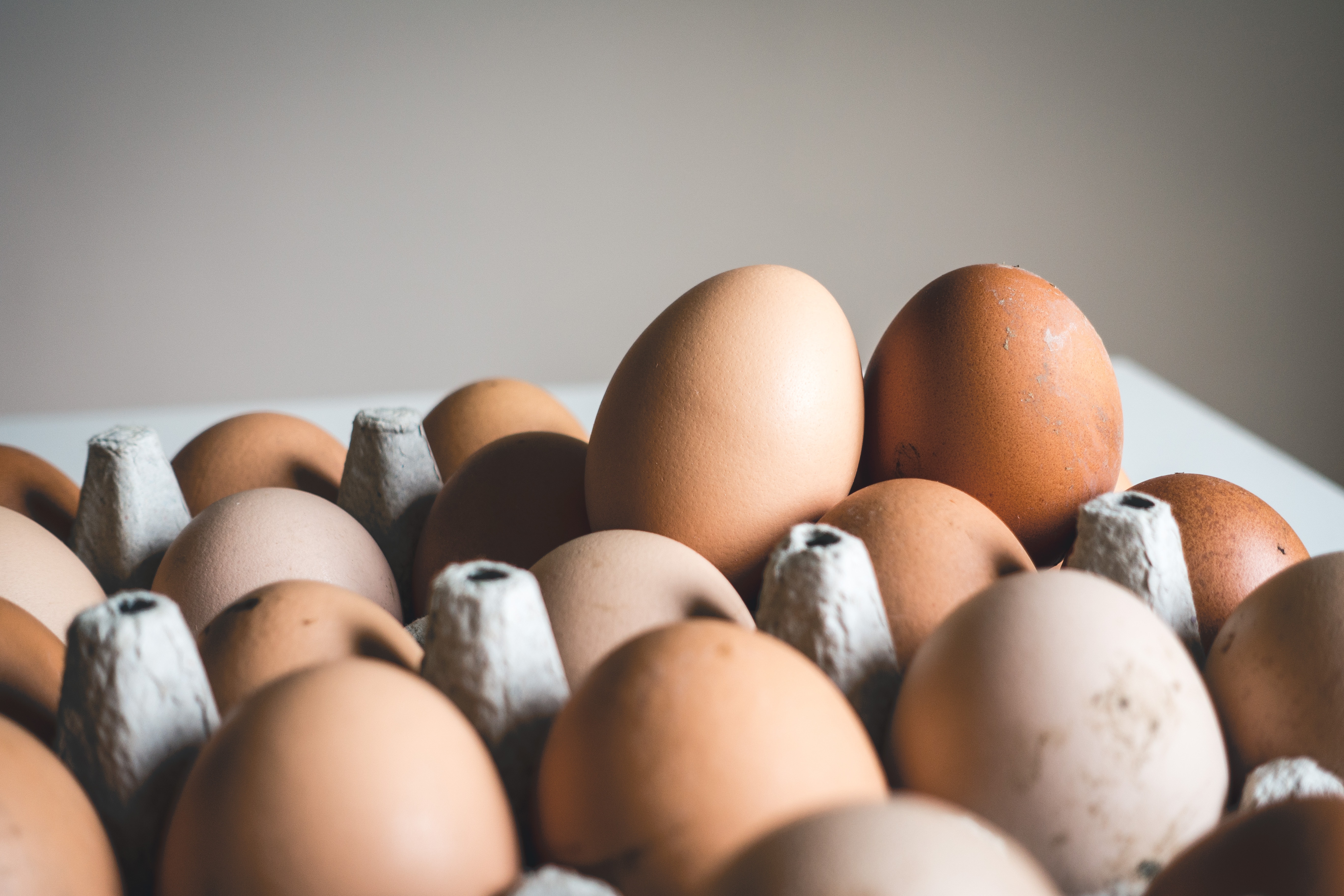 ¡Ojo! Esta es la máxima cantidad de huevos que debería comer al día, según expertos en nutrición 