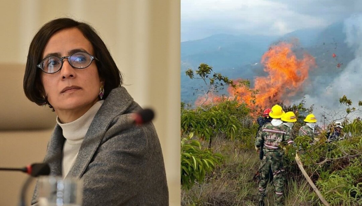 La ministra de Ambiente aseguró que el 95% de los incendios son provocados 