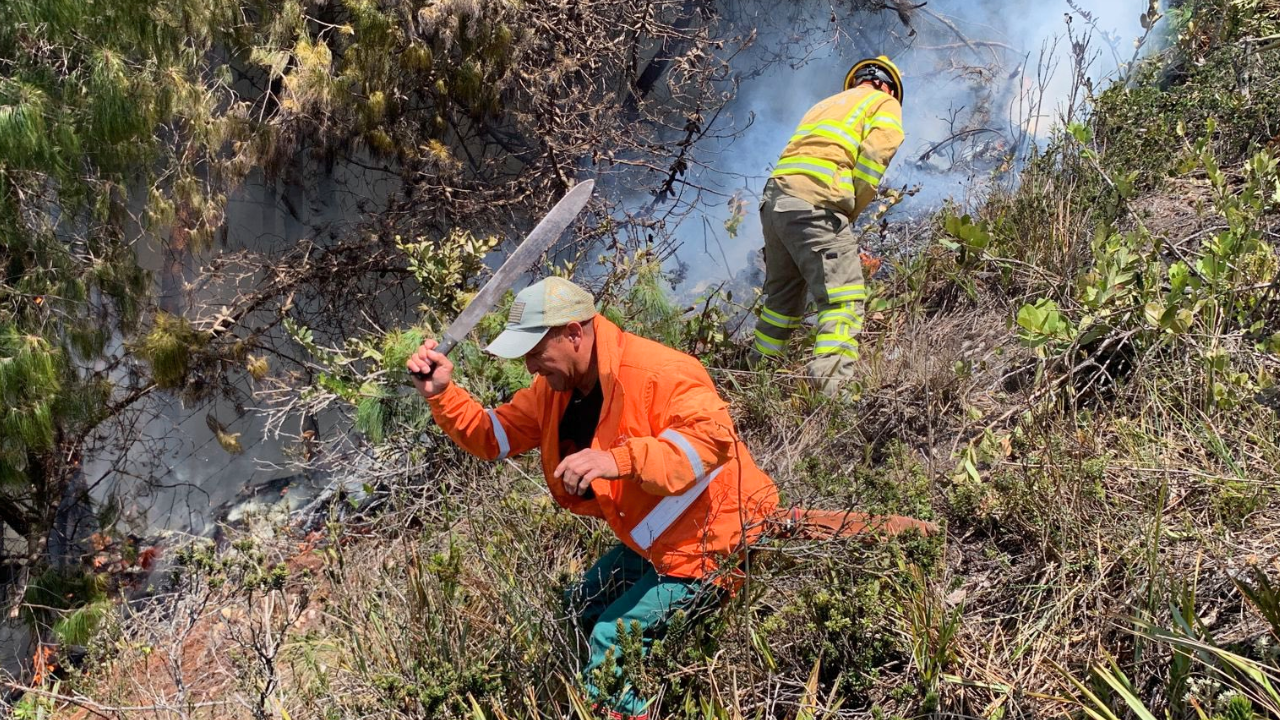 el 70% del territorio colombiano se encuentra en alerta por incendios forestales