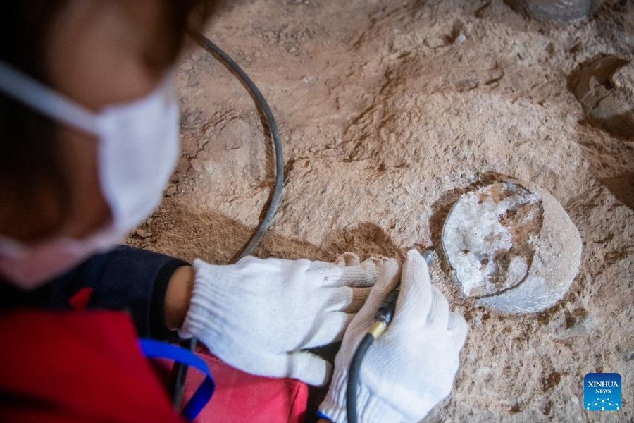 En China hallaron tres fósiles de huevos de dinosaurio cristralizados: “son extremadamente raros”