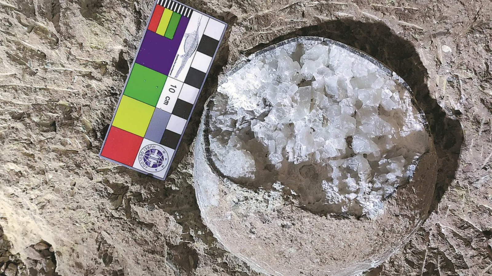 En China hallaron tres fósiles de huevos de dinosaurio cristralizados: “son extremadamente raros”
