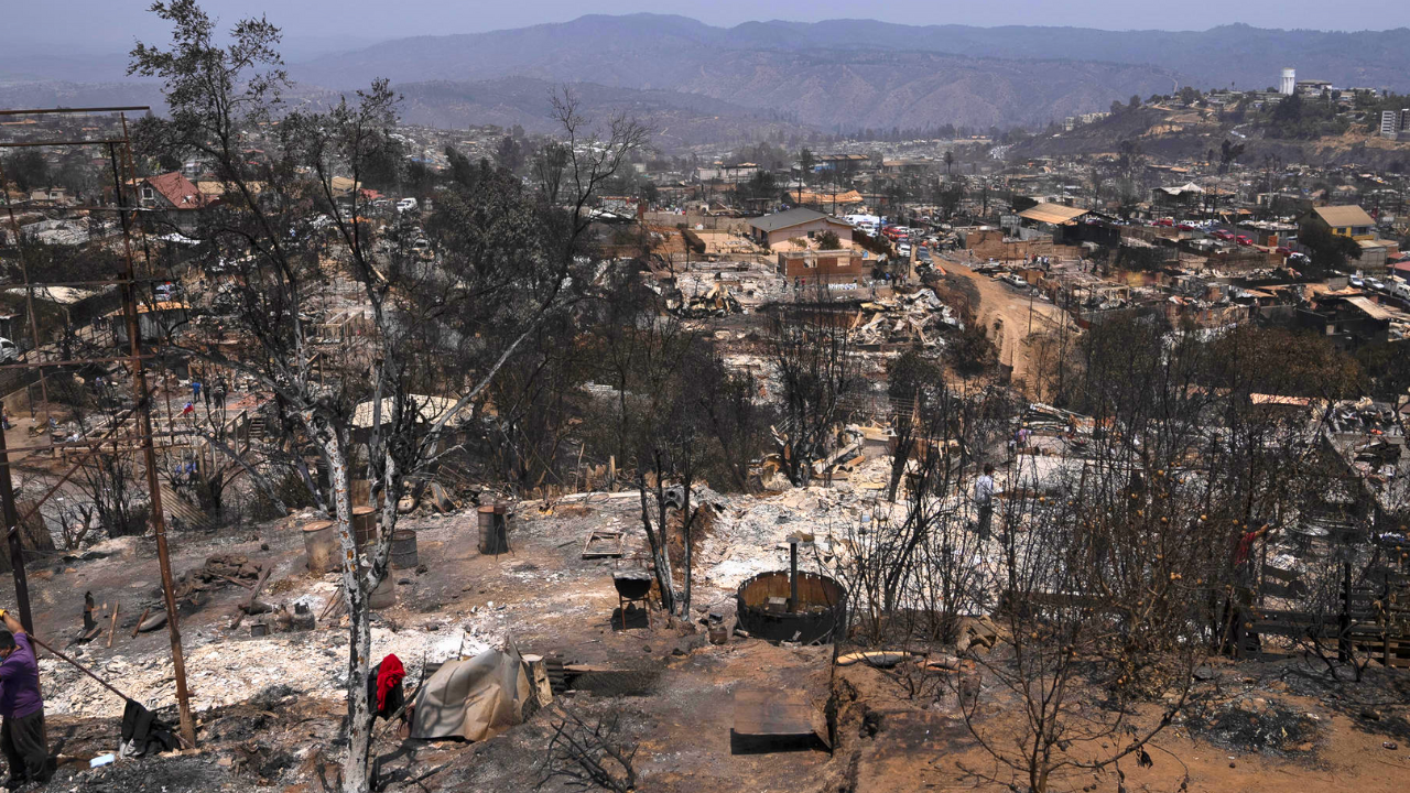 ¿Por qué los incendios en Chile han sido tan devastadores? Estas son las razones de los expertos