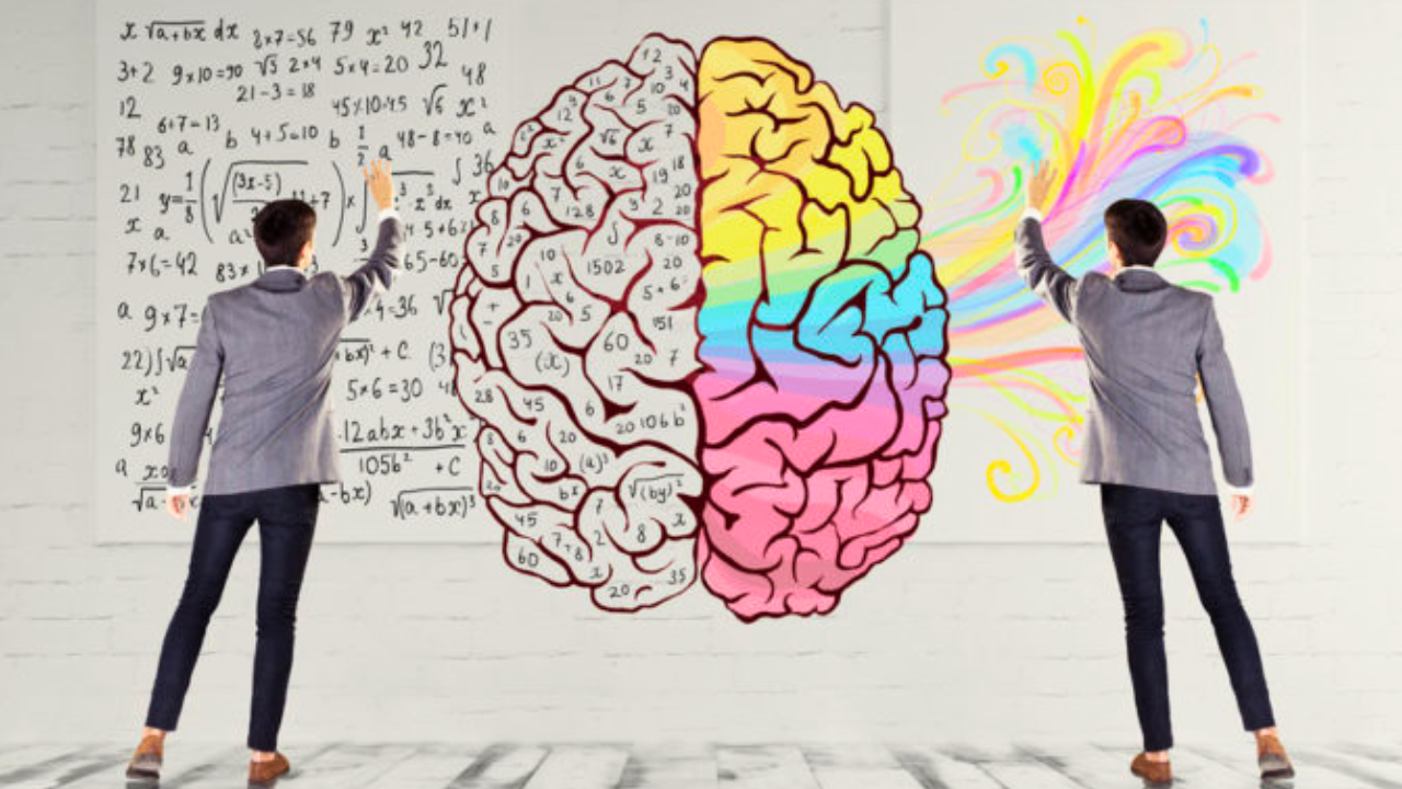 Este test revela datos desconocidos de su personalidad, según lo que ve: ¿un león o una cebra?