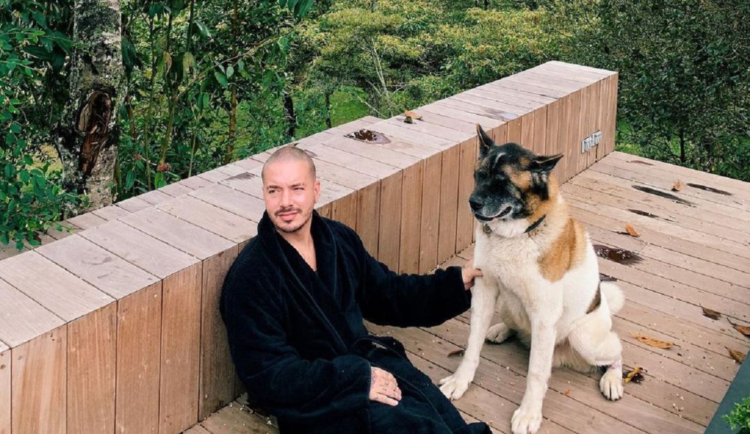 J Balvin está de luto: murió ‘Enzo’, el perro que lo acompañó durante 14 años. Así lo despidió