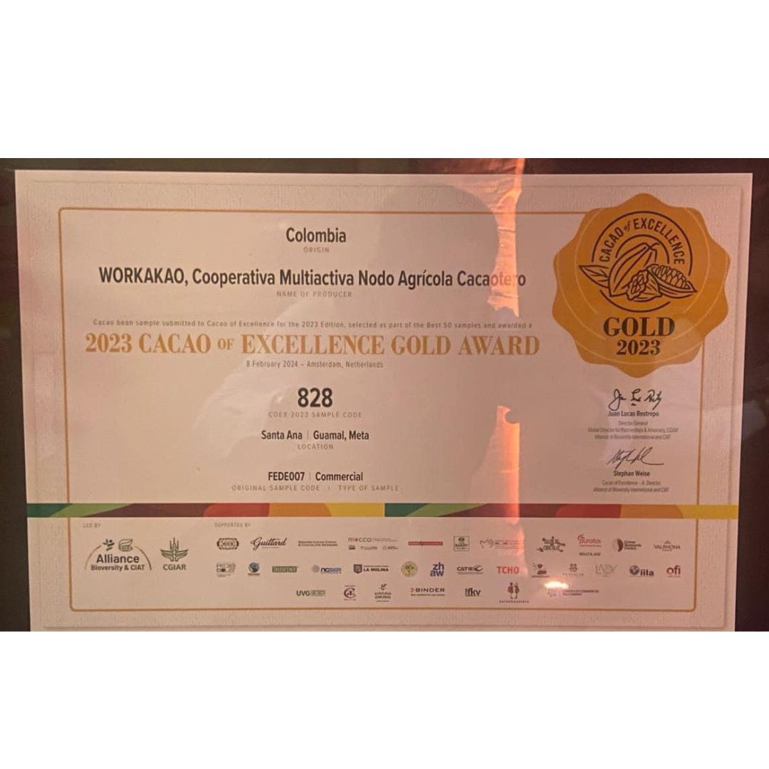¡Cacao colombiano fue galardonado como el mejor del mundo en concurso internacional!