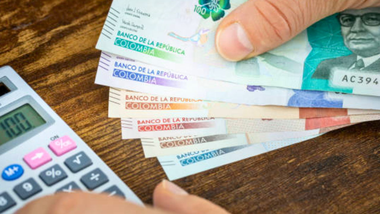 Programa Renta Ciudadana: ¿cuánto dinero y cuántos ciclos recibirán las familias este año?