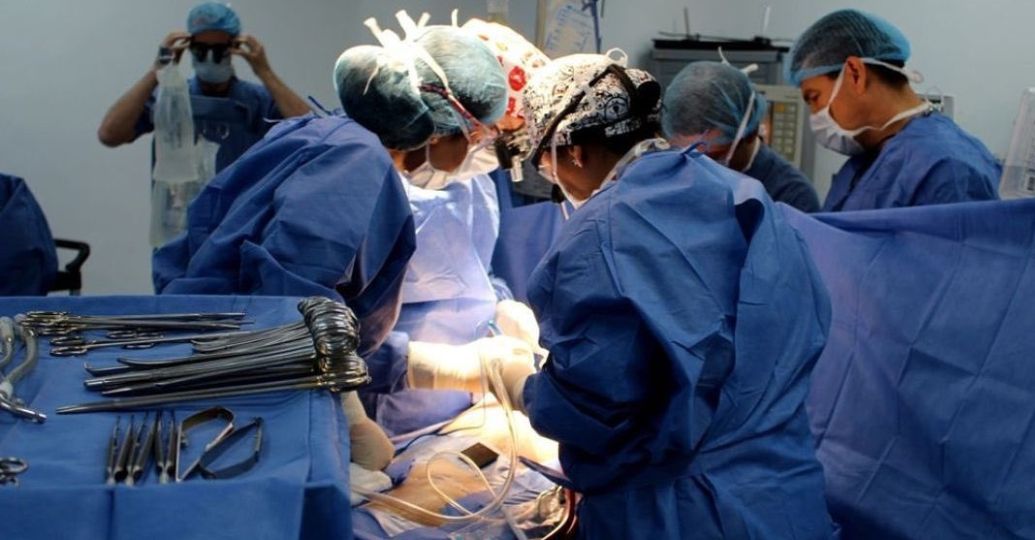 Por primera vez trasplantaron con éxito un riñón de cerdo genéticamente modificado a una persona viva