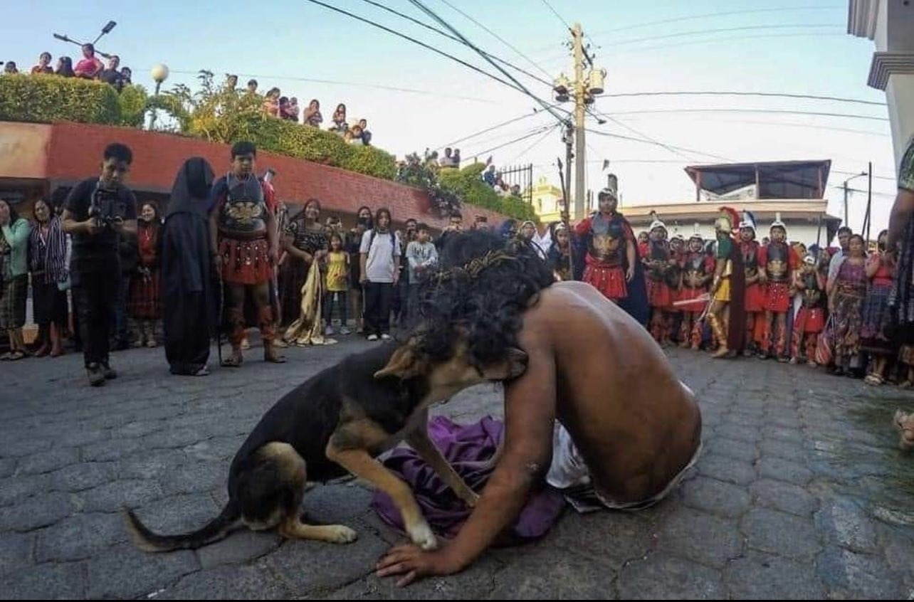 Conmovedor: en Guatemala, Perrito consoló a actor que interpretaba a Jesús durante el Viacrucis