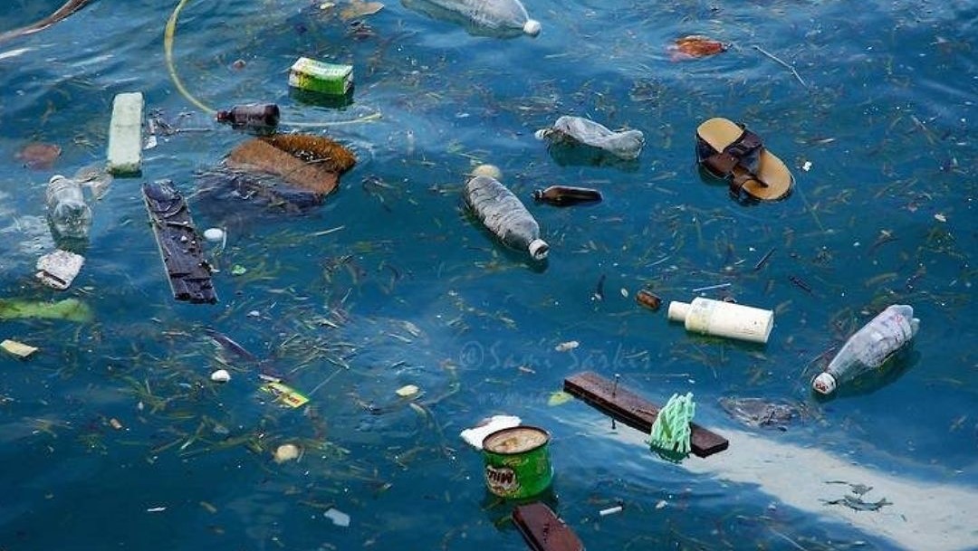 Estudio revela que el mar es un "depósito de contaminación": aquí la razón de esto 