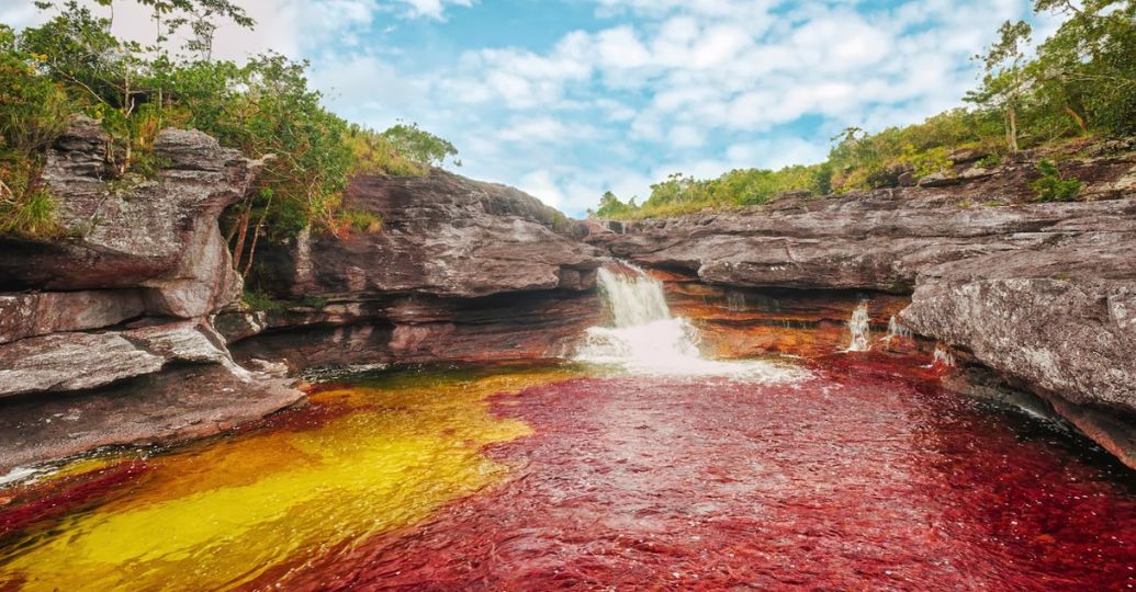 Empresa petrolera no podrá explotar caño cristales: tribunal negó demanda