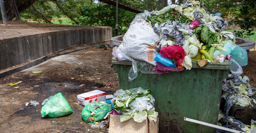 Alarmante: el mundo desperdició cerca del 19% de los alimentos en 2022 según la ONU