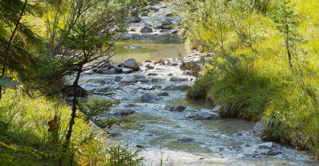 Cuatro países de América están entre los seis con mayores reservas de agua en el mundo