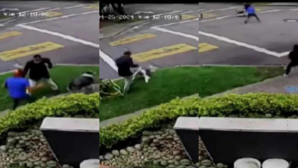 ¡Héroe de cuatro patas! En Bogotá, un valiente perro evitó que un asaltante robara a su dueño: aquí el video