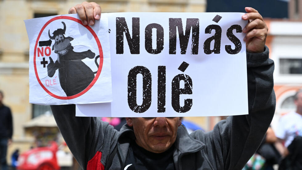 Prohibición de las corridas de toros en Colombia: ¿desde cuándo y cómo empezará? Son varios años