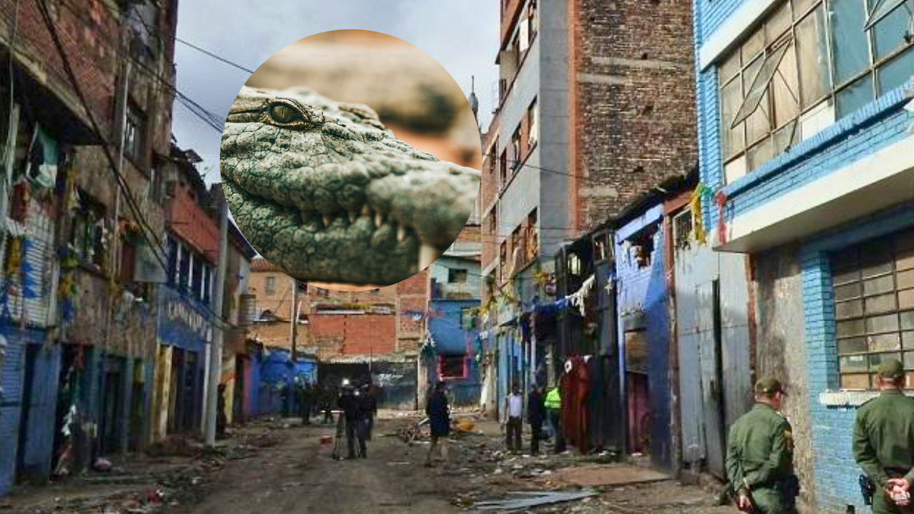 ¿Qué pasó con el cocodrilo que usaban para torturar en El Bronx? Habría tenido un fatídico final