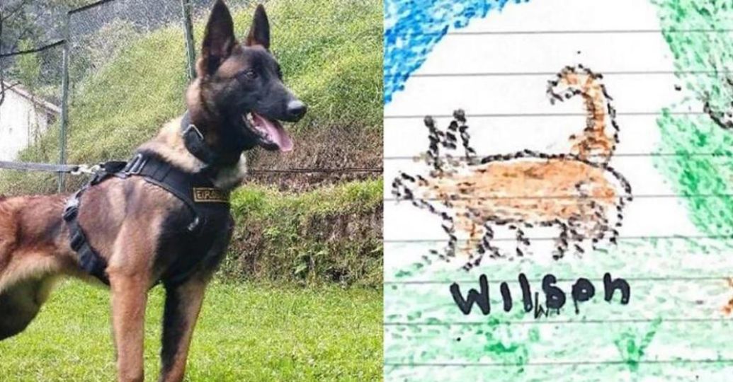 Si Wilson nunca estuvo con los hermanos Mucutuy, ¿por qué dibujaron un perro?