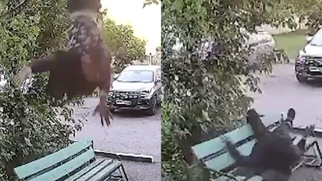 En video| De no creer: borracho se tiró de un balcón porque su amigo no lo dejó salir por su estado