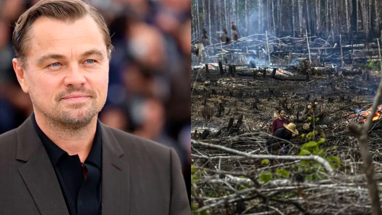 Leonardo DiCaprio le pide al Congreso colombiano aprobar ley de ganadería libre de deforestación 