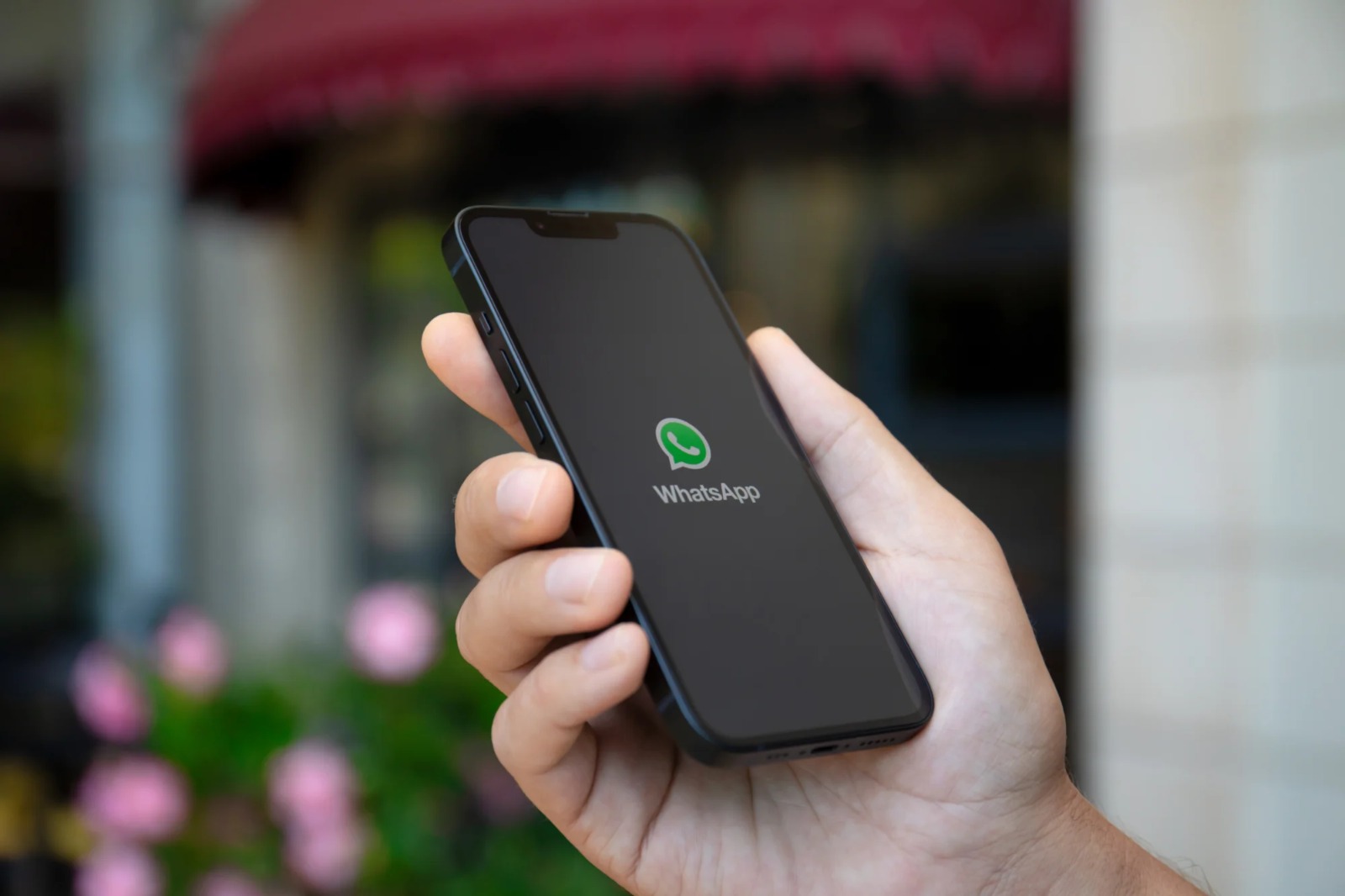 Así puede cambiar el color de su WhatsApp: es más fácil de lo que parece. Le contamos cómo hacerlo