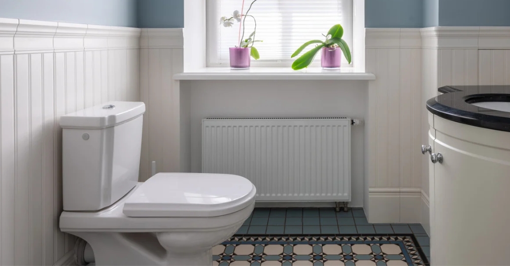 Estudio asegura que frecuencia al defecar puede ser indicador de salud a largo plazo