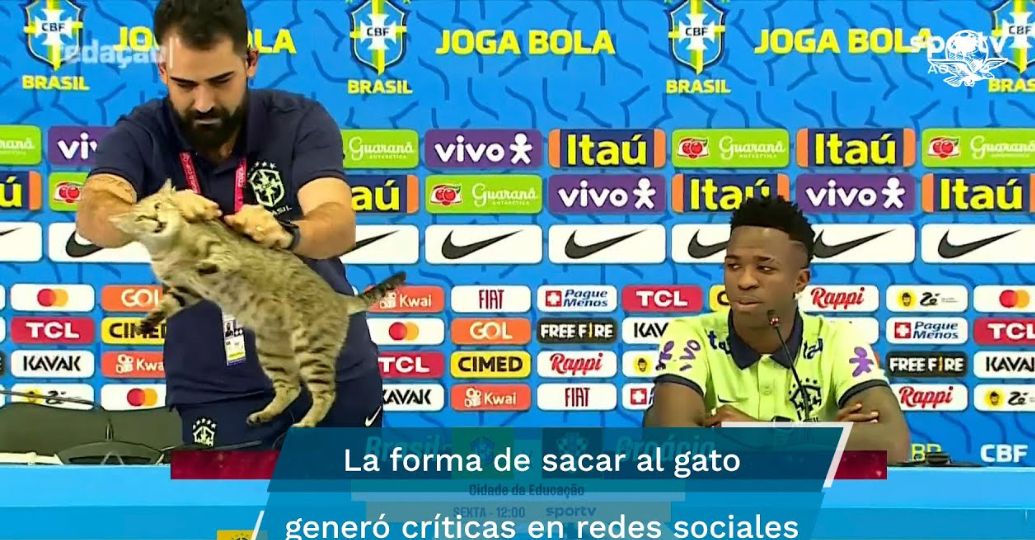 "La maldición del gato": en redes sociales le dan esta explicación al mal momento de Brasil