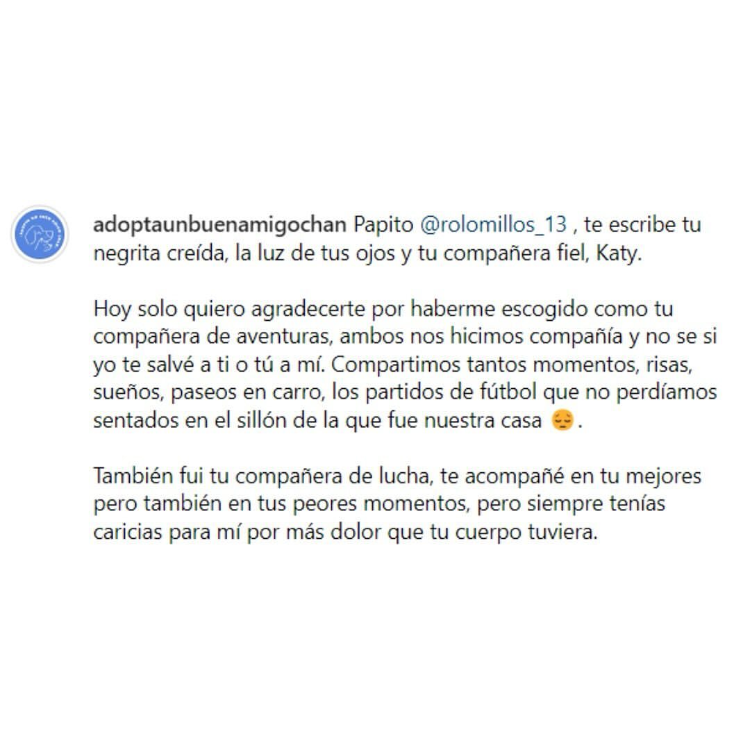 La conmovedora carta del perrito de Javier Acosta, hincha de Millonarios que decidió aplicarse la eutanasia