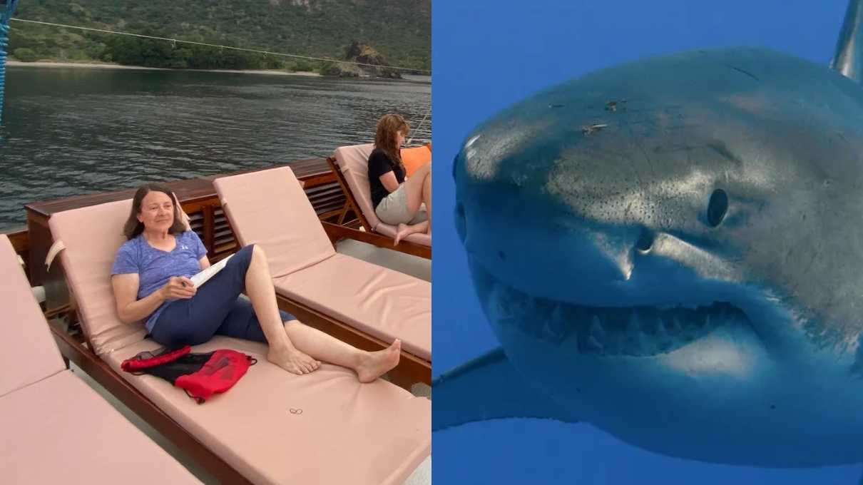 Sensible | Aterrador: mujer desaparecida fue hallada en el estómago de un tiburón y revelaron foto