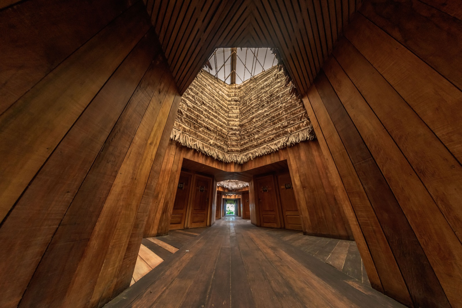 Viajar al Amazonas: naturaleza, cultura y aventura en un solo destino