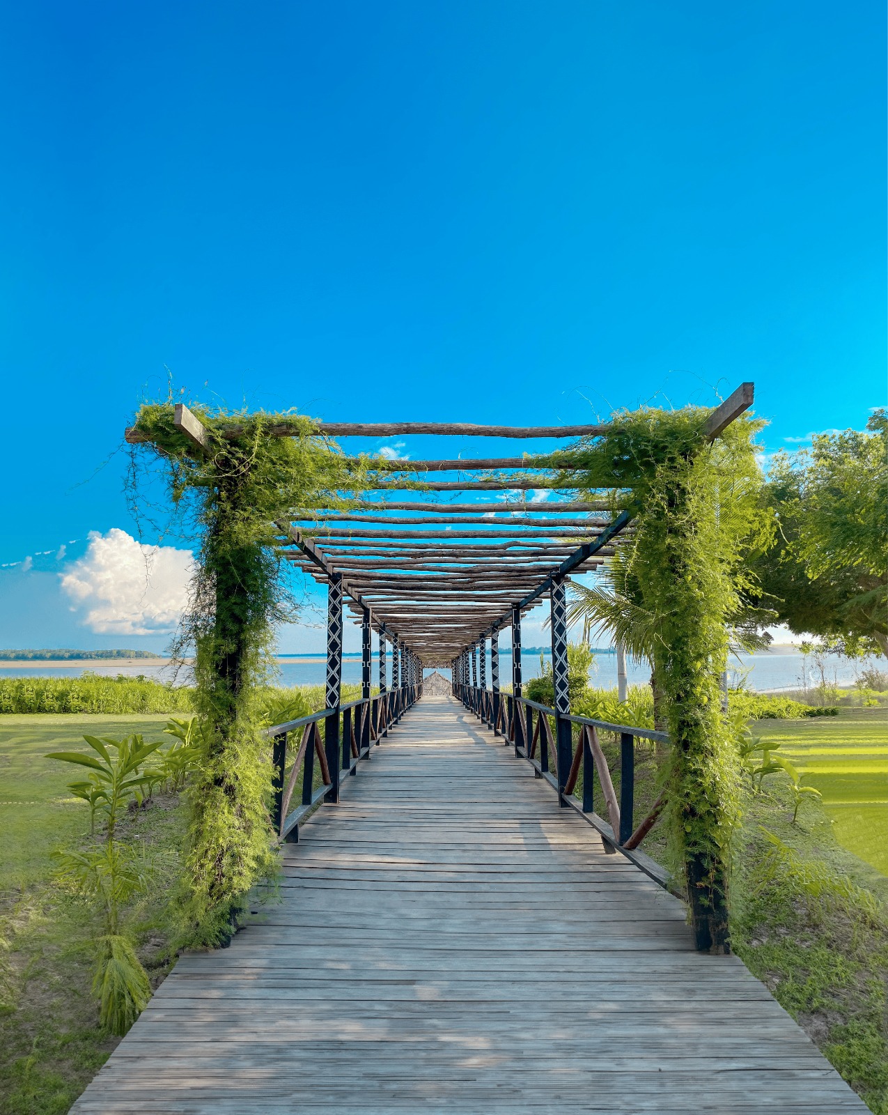 Viajar al Amazonas: naturaleza, cultura y aventura en un solo destino