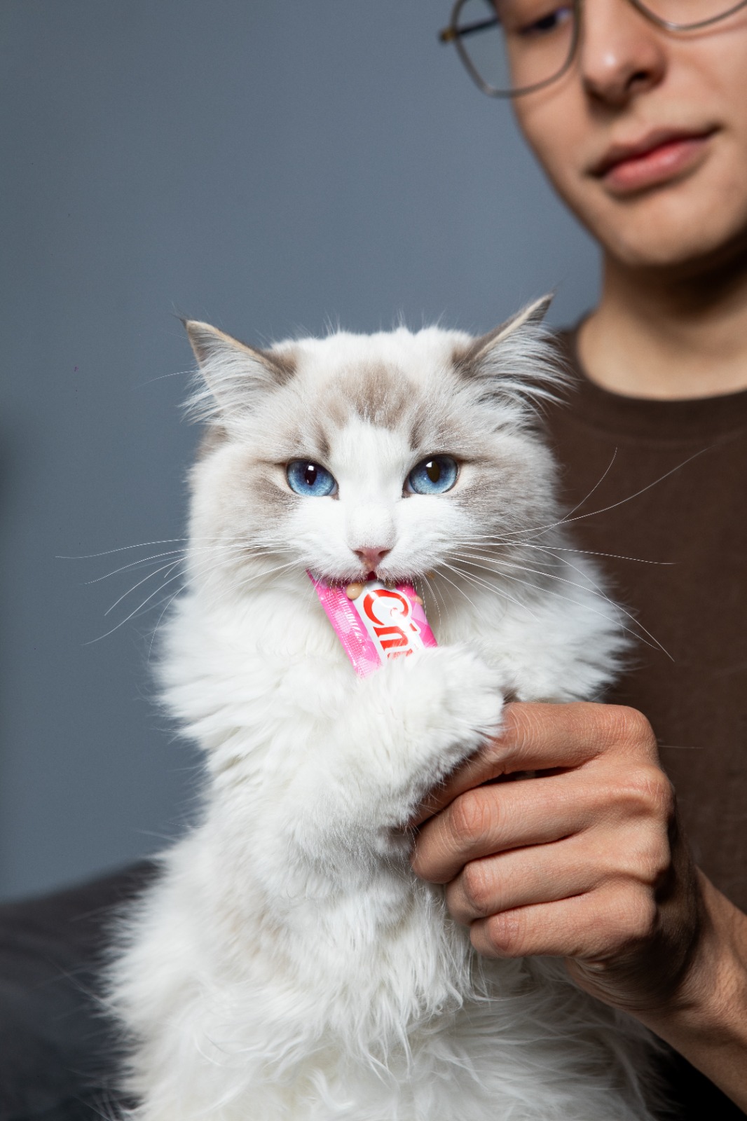 El secreto mejor guardado de los veterinarios para consentir (y cuidar) a las mascota