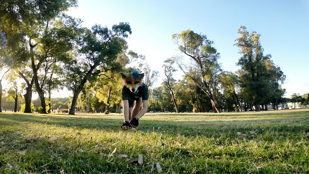 Therians: qué son y por qué esta identidad se ha viralizado en redes sociales