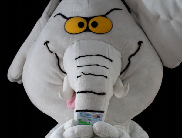 ¿Quién es 'Elefante blanco', que llegó al Senado con más de 100 mil votos?