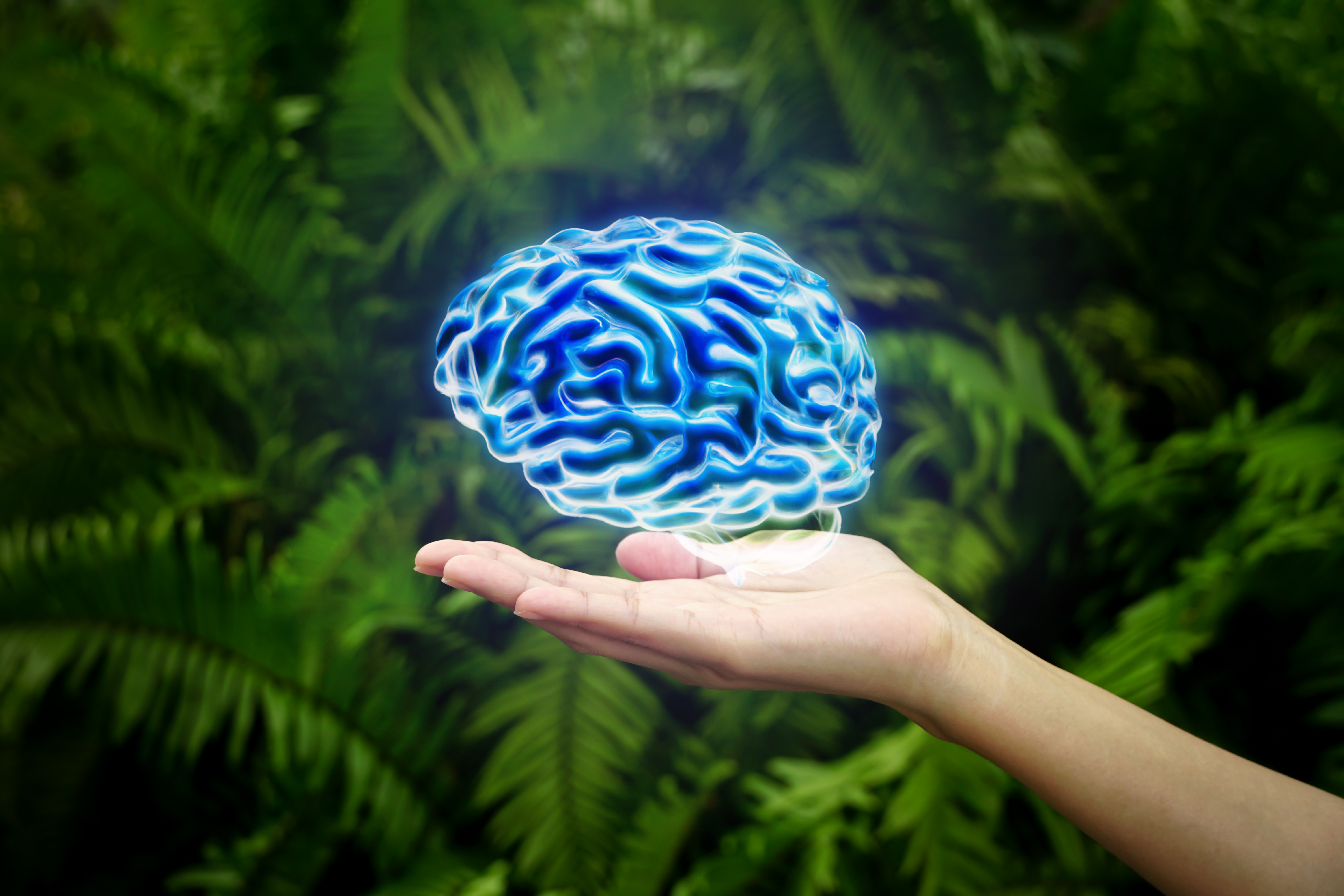 El entorno puede acelerar o frenar el envejecimiento del cerebro, según estudio