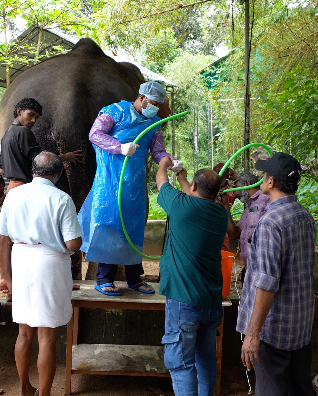Así es el centro de conservación a donde el millonario indio propone llevar los hipopótamos de Colombia