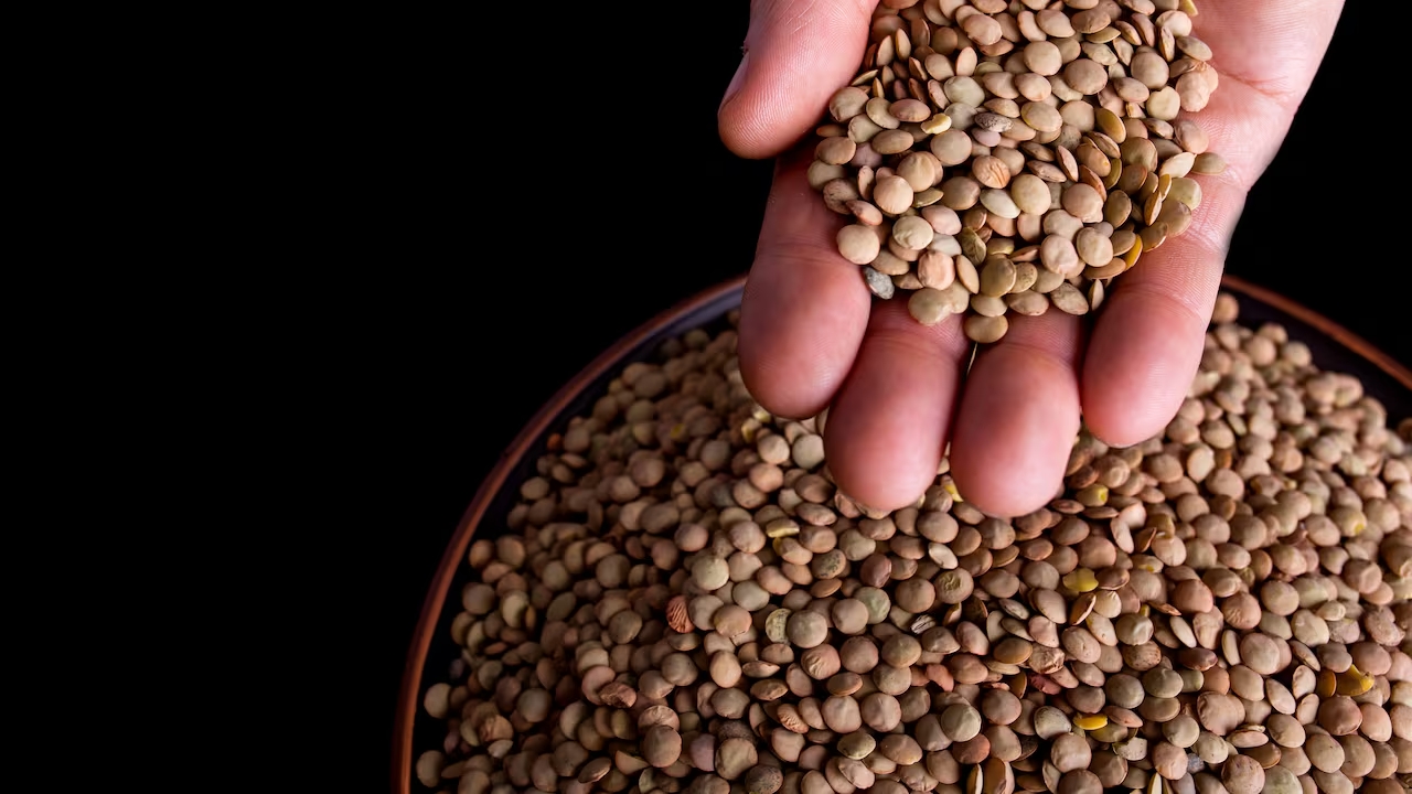 Lentejas, dinero y rituales de prosperidad