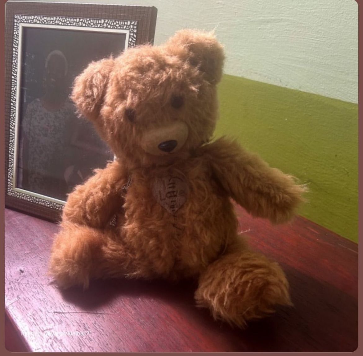 Peluche