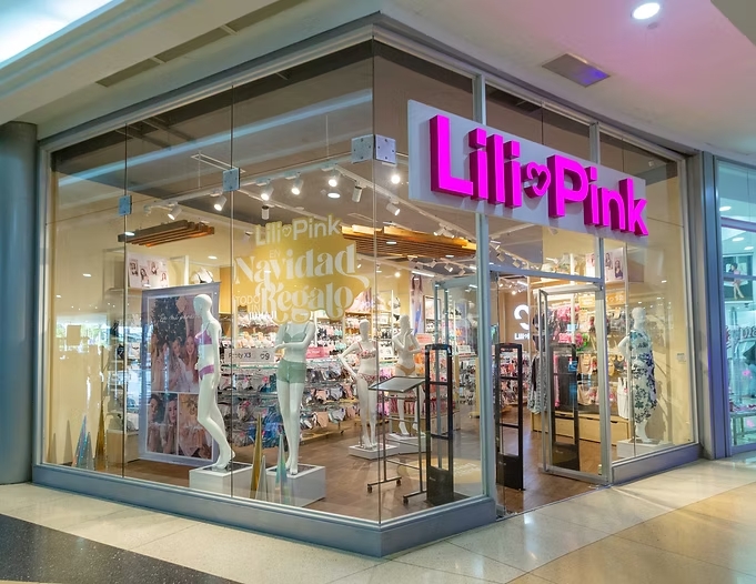 Así detectó la Dian la presunta red de contrabando que llevó a Lili Pink a extinción de dominio