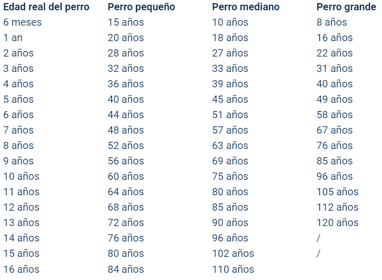 Edad de los perros