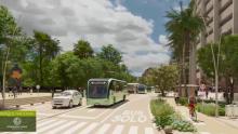 Tribunal revive el Corredor Verde por la Séptima en Bogotá: conozca los detalles