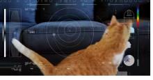 Primer video de la NASA desde el espacio profundo es de un gato