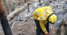 Así quedó la quebrada La Vieja tras incendio de varios días
