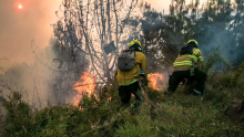 Incendios en Bogotá no dan tregua: baja visibilidad en el Aeropuerto El Dorado y antenas en peligro