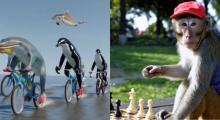 OpenAI presentó a 'Sora', una inteligencia artificial capaz de crear videos realistas a partir de texto