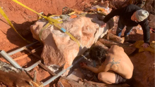 Encuentran el esqueleto de un dinosaurio de hace 70 millones de años casi completo