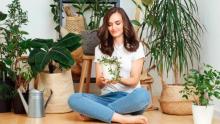 ¡Efectivas! Estas son las plantas que eliminan el moho y la humedad en solo una semana