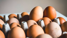 Precio del huevo sigue en bajando en el país: ¿en cuantó está una cubeta en Corabastos?